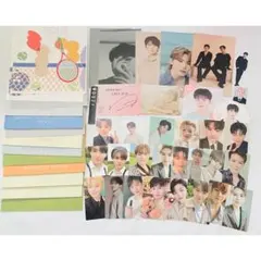 SEVENTEEN セブチ トレカ ウジ woozi CARAT LAND