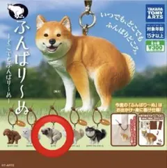 ふんばり〜ぬ どこでもふんばりーぬ　パグ