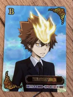REBORN CCG 第9弾 UR サイン入り 沢田綱吉 リボーン REBORN CCG 9弾 UR 沢田綱吉 サイン入り - メルカリ