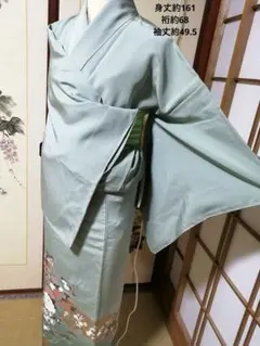 2025年最新】付け下げ 裄68の人気アイテム - メルカリ