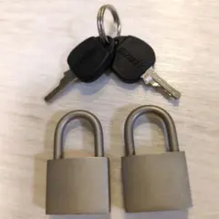 Item thumbnail for item 5a67eb29-9374-4414-a3b4-81e5febc4cb6