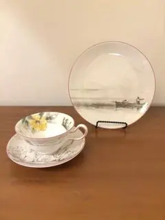 新品]ウェッジウッド ヴォヤージュ カップソーサー・プレート3点セット 