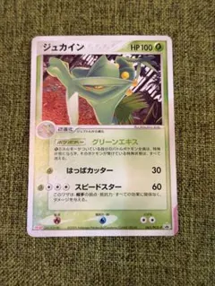 ジュカイン PROMO PCG-Pプロモカード 119/PCG-P ジュカイン PROMO PCG-Pプロモカード 119/PCG-P - メルカリ