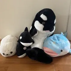 ぬいぐるみ 5点セット シャチ3 アザラシ1 ジンベイザメ1