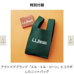 リンネル　11月号　付録　L.L.Bean ニットバッグ ミニポーチ付き