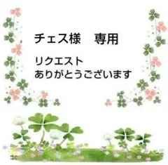 チェス様 リクエスト 3点 まとめ商品