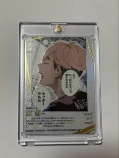 ハイキュー!! バボカ　宮侑　頂P