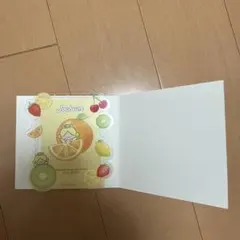 JOCHUM シークレット硬質カードケース　もこ