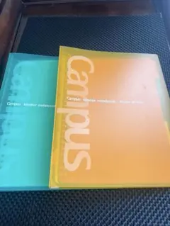 Item thumbnail for item 559b9c80-ed78-4a0b-869d-064935fab815