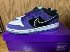 Hayley Wilson × Nike SB Dunk Low Pro