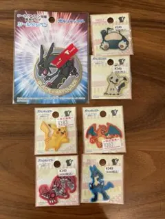 ポケモン ワッペンセット