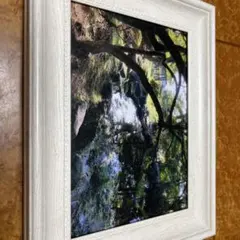 写真立て付き風景写真。のサムネイル