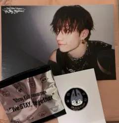 StrayKids EXHIBITION ピンバッチ ウルフチャン バンチャン