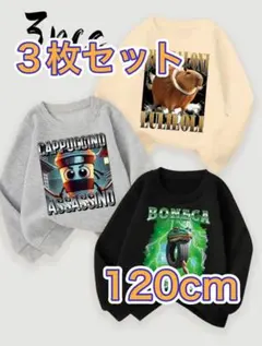 3枚セット　イタリアンブレインロット　120cm 薄手トレーナー　カプチーノ