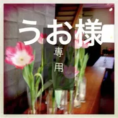 うお様専用