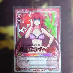 G93 プレシャスメモリーズ ハイスクールD×D HERO トレカ 金箔サイン