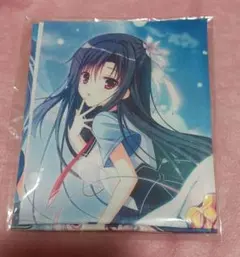 D.S.i.F. Dal Segno in Future　布製ポスター新品未使用