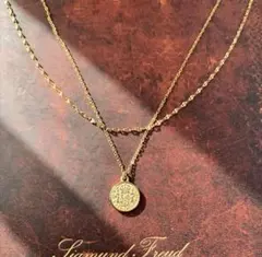 ２連 ペタル コイン ネックレス サージカルステンレス メンズ ペア ゴールド