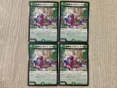 森夢のイザナイメイ様　４枚