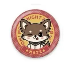 登坂広臣 缶バッチ mate - メルカリ
