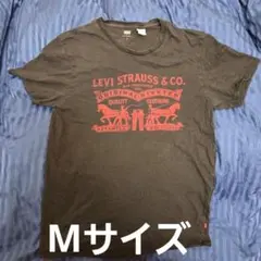 Item thumbnail for item d40ad2c1-c598-47ed-bdea-29767c1c95bd