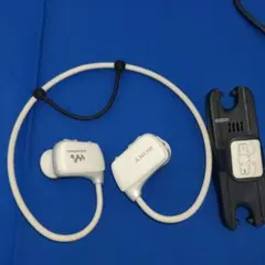 Item thumbnail for item 2b93e47d-7c08-421b-9b71-85ab10507ffc