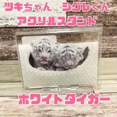 Item thumbnail for item a83a938b-4c3f-4840-8c82-1c8ff9daf608