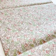 Item thumbnail for item d880b727-d1f6-444f-a661-f9e3a613f3af