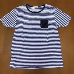 BACK NUMBER ライトオン　ストライプ Tシャツ Sサイズ
