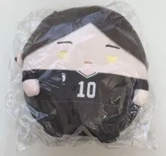 ハイキュー 角名倫太郎 ふわコロりん M