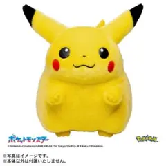 ポケットモンスター ポケモン30周年記念 おかえり！ピカチュウ1/1