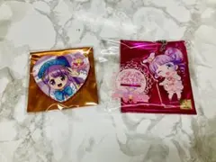 プリパラ 大プリパラ展 缶バッジ 真中のん まとめ売り プリパラ 大プリパラ展 缶バッジ 真中のん まとめ売り 2025年
