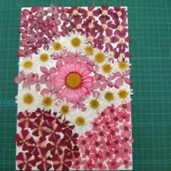 Pono様 リクエスト 2点 まとめ商品