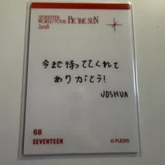 SEVENTEEN be the sun ジョシュア トレカ