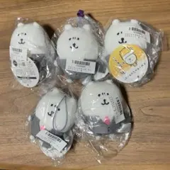 ナガノマーケット 仮装しちゃお！ マスコット かぼちゃなナガノのくま