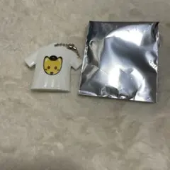 ナオキツネデザイン Tシャツ型キーホルダー YOSHIKAWA 2