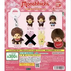 モンチッチ めじるしアクセサリー セミコンプリート