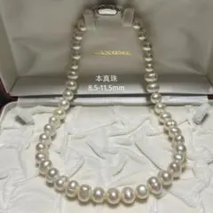 大珠✨】本真珠 ネックレス パール シルバー刻印 約9.5〜10.5mm - メルカリ
