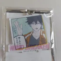 2025年最新】推しとアメ wind breakerの人気アイテム - メルカリ