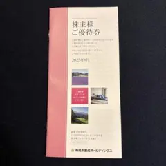 東急不動産ホールディングス株主優待（100株以上500株未満）