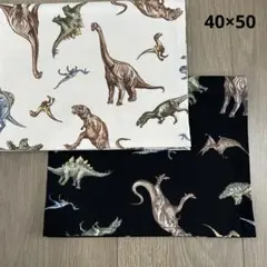 新柄入荷 ランチョンマット 恐竜 男の子 40×50 2枚セット 給食ナフキン