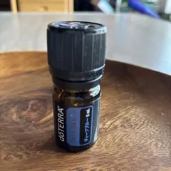 新品未使用】ドテラ dōTERRA Deep Blue Rub 120g 2本 - メルカリ