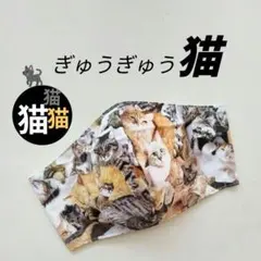 インナーマスク★ぎゅうぎゅう猫