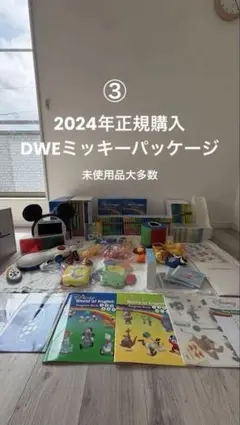 ③ 【新品,未使用多数】2024年正規購入DWEミッキーパッケージのサムネイル