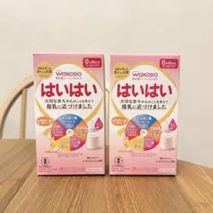 和光堂 レーベンスミルク はいはい 13g×10本 2箱