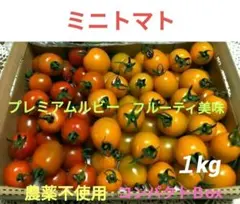完熟ミニトマトと茗荷と大葉のセット❤フルーティ美味＋プレミアムルビー⭐農薬不使用のサムネイル