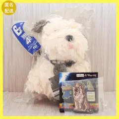 USJ2004年夏限定 バックトゥーザフューチャー アインシュタイン