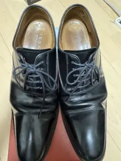 Item thumbnail for item 4690ab21-ac15-401c-8aa7-550c25411f38