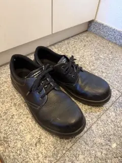 Item thumbnail for item 8c97df6e-d522-4223-b671-1c75ab8e280a