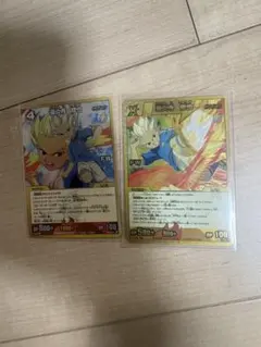 イナズマイレブン カード TCG 限定 非売品 豪炎寺修也 宇都宮虎丸